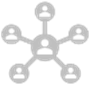 Network Icon